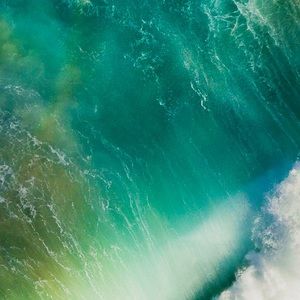 Meet your Posher, Cassie